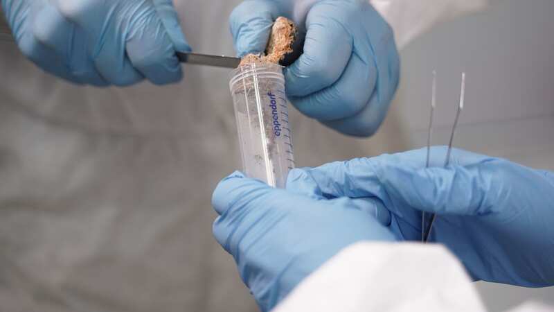 Scientists take samples during the study (Image: Nina Sleptsova / NEFU Press Service)