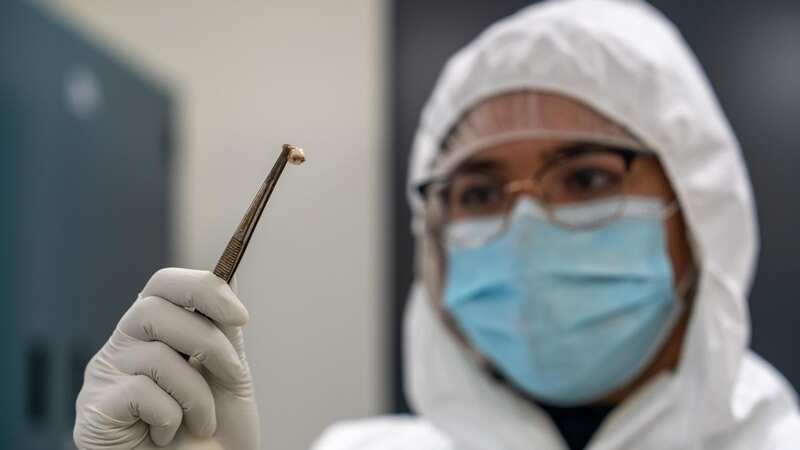 A researcher examining a tooth pulled from a Black Death victim (Image: PA)
