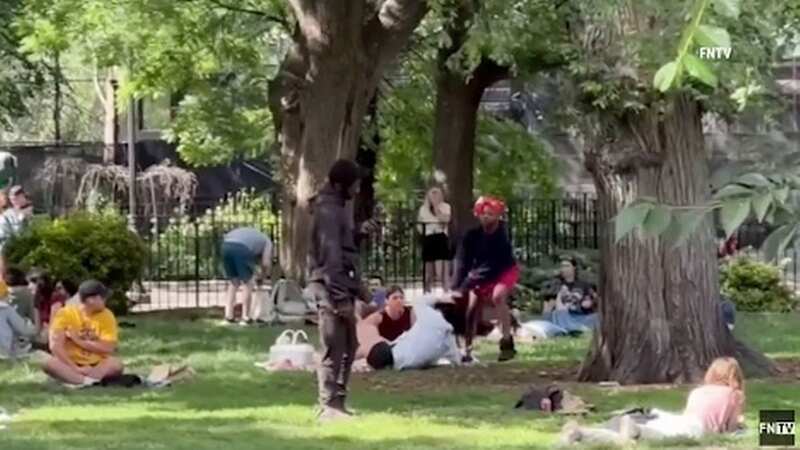 Woman randomly attacks strangers and lunges at mum and baby in park rampage