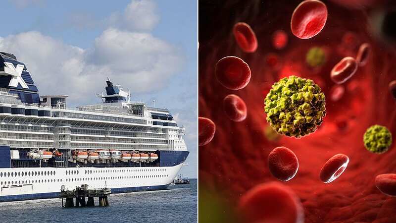 Outbreak on board Celebrity Cruises ship leaves more than 175 ill