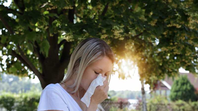 The hay fever count is currently high in the UK (stock image) (Image: Getty Images/iStockphoto)