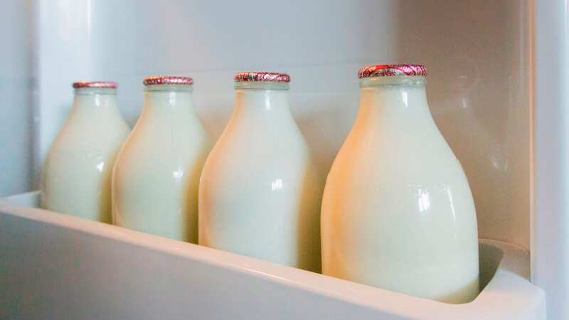 An expert has warned never to put your dairy products in the fridge door (Image: Getty Images/iStockphoto)