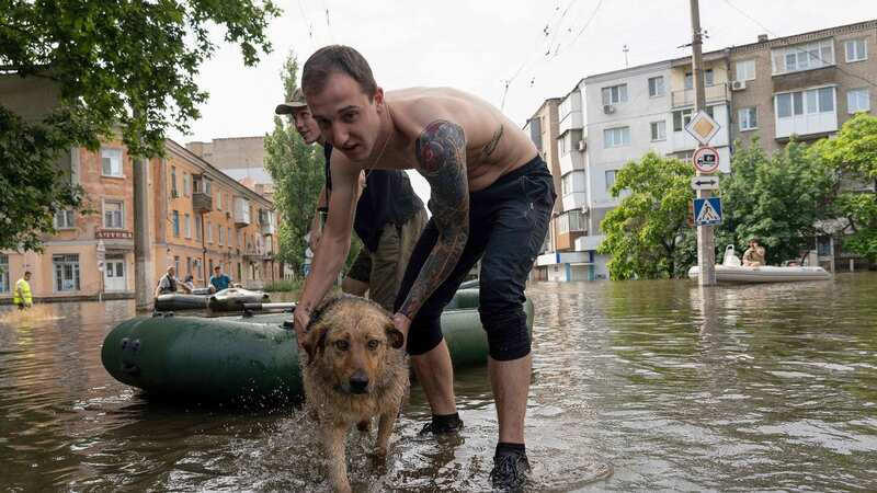 Man evacuates his dog in Kherson (Image: AFP via Getty Images)