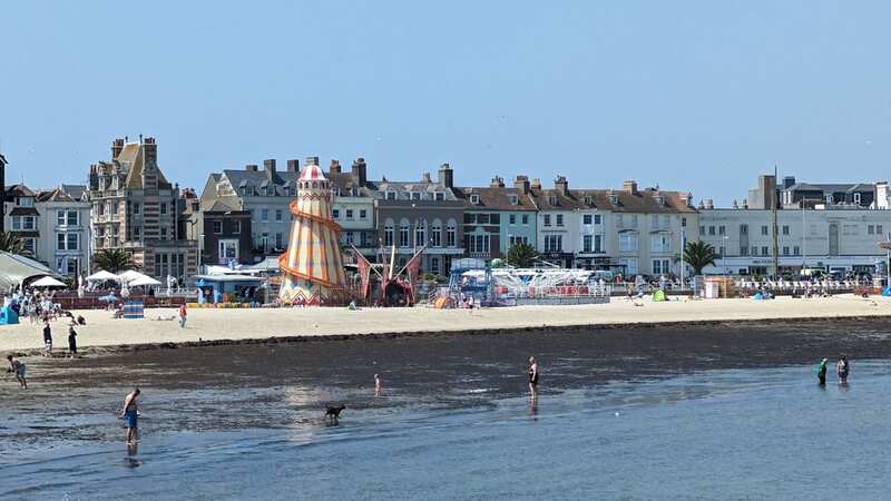 Seaweed has covered a section of Weymouth beach (Image: Dorset Live/Michael Taylor)