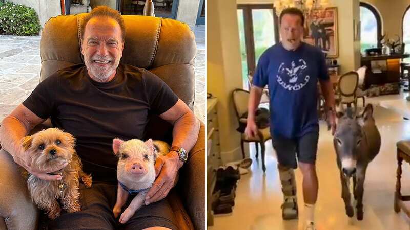 Inside Arnold Schwarzenegger