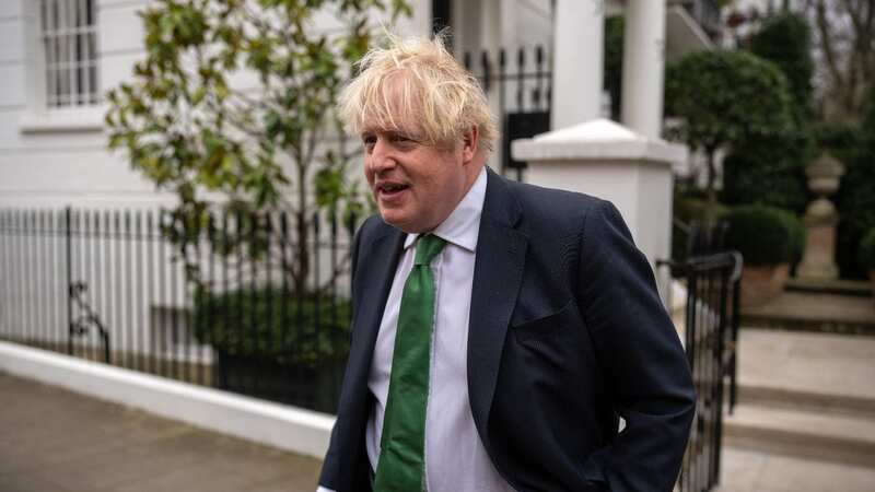 Boris Johnson has dished out honours to a string of pals and cronies (Image: Getty Images)