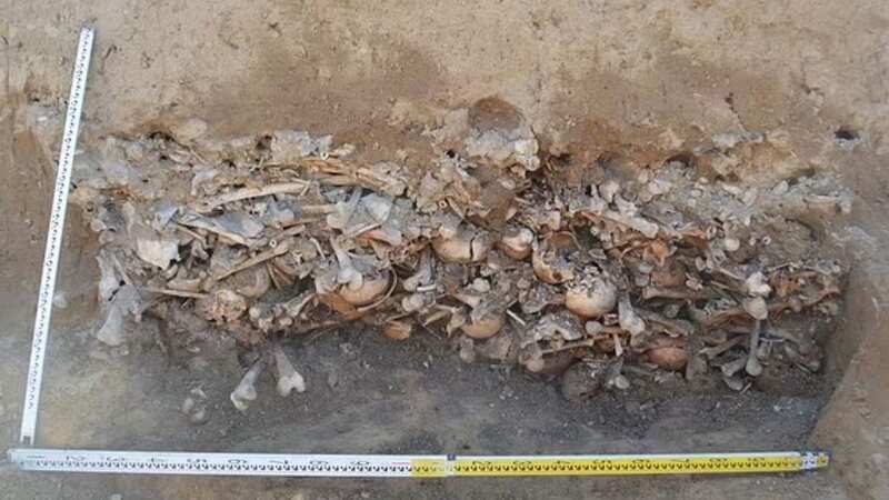 The skeletons were found by roadworkers digging into the ground in Luzino in northeast Poland (Image: Maciej Stromski)