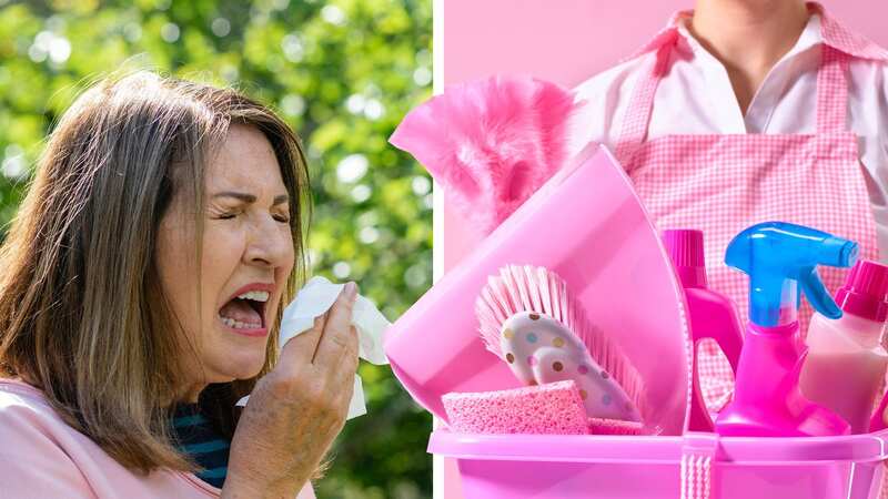 Cleaning experts have shared some top tips on how to minimise the risk of hay fever at home. (Image: Getty Images)