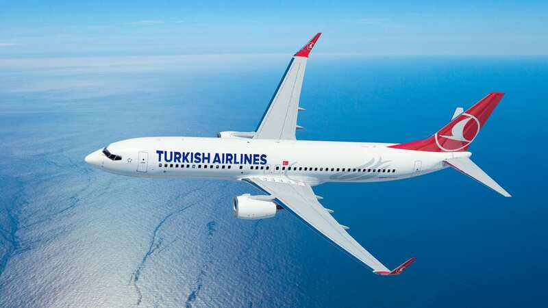 The flight TK003 by Turkish Airlines bound for New York had to make an emergency landing in Budapest (stock image) (Image: Handout)