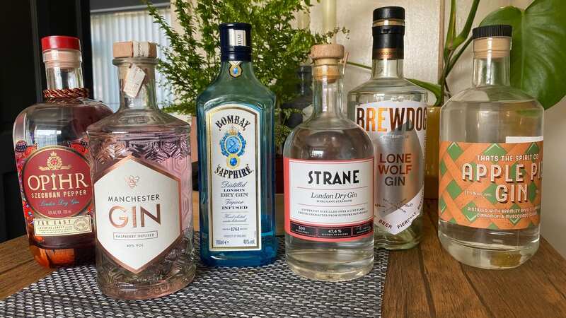 These are some of the best gins worthy of trying in 2023