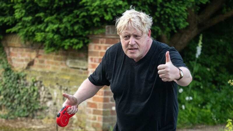 Boris Johnson (Image: Jeremy Selwyn)