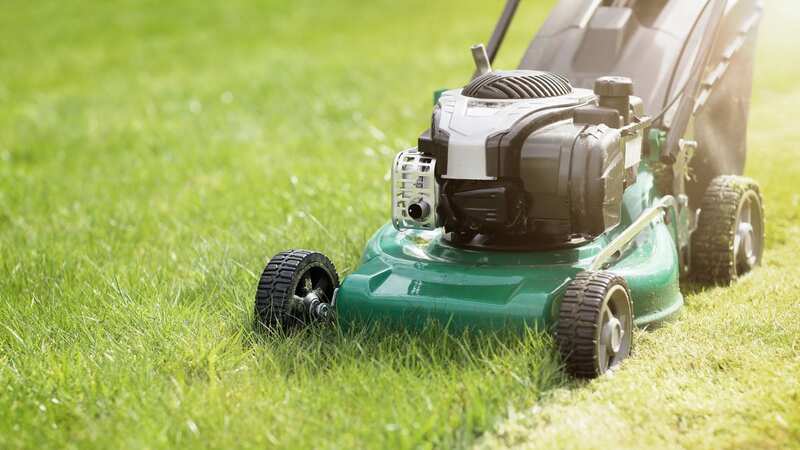 Gardening experts have shared the exact time you should mow your lawn in a heatwave (stock photo) (Image: Getty Images/iStockphoto)