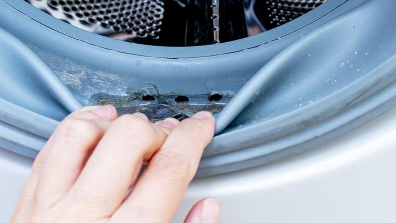 If your machine is omitting a foul odour, it could be the seal (Stock Image) (Image: Getty Images/iStockphoto)