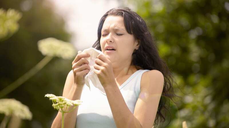 A pharmacist has shared the little-known symptoms that you could be suffering from hay fever (stock photo) (Image: Getty Images/Cultura RF)