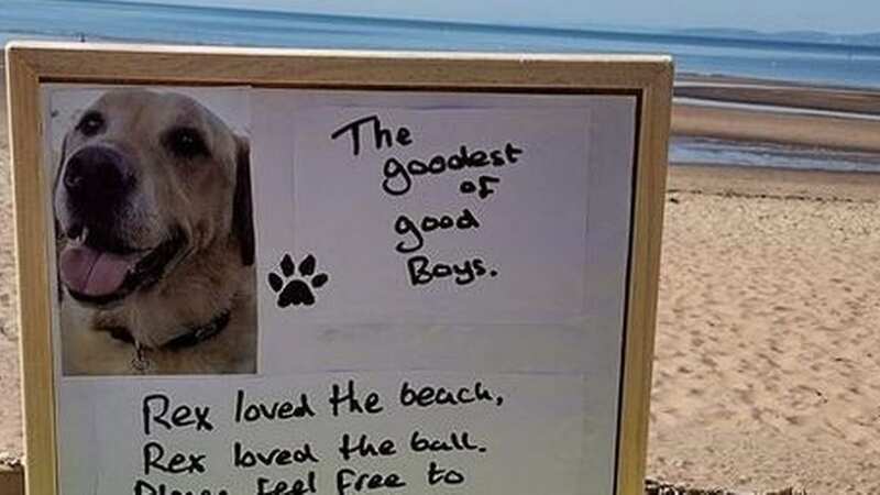 Visitors of Exmouth Beach were deeply touched by a dog owner
