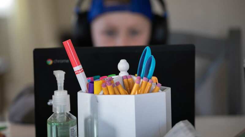 Schoolboy dubbed "bonafide genius" after he deceived teacher on Zoom for months