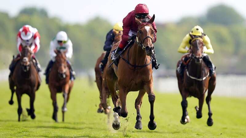 York hosts a Flat meeting on Friday when Newsboy’s nap, Westernesse, is fancied to win the 1.50 for trainer David O