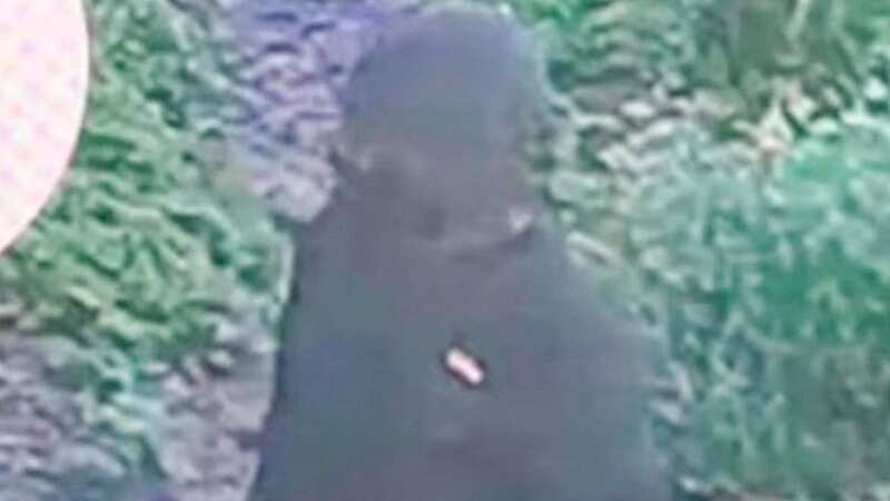 Nottingham attack suspect named as graduate of same university as two victims