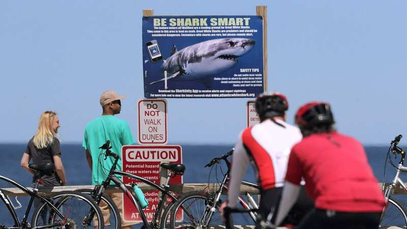 Beachgoers are being warned to stay vigilant and take important steps when visiting the beach (Image: Alamy Stock Photo)