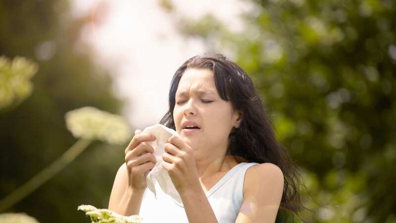 Exact date hay fever sufferers can breathe sigh of relief as pollen levels fall