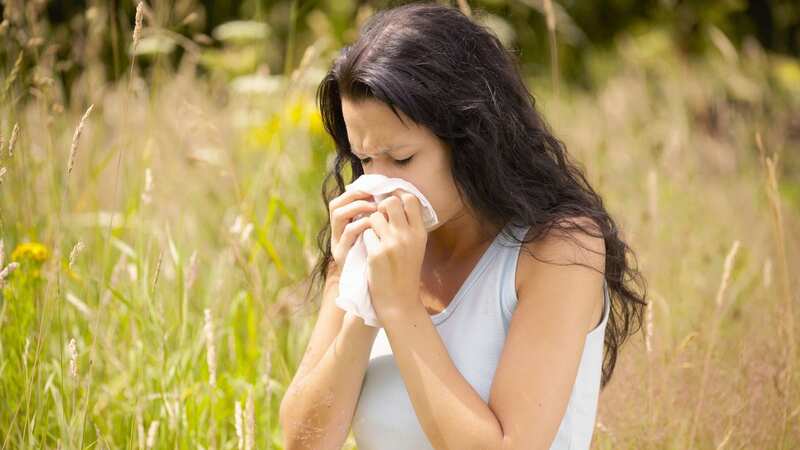 Millions of people suffer from hay fever (Image: Getty Images/Image Source)