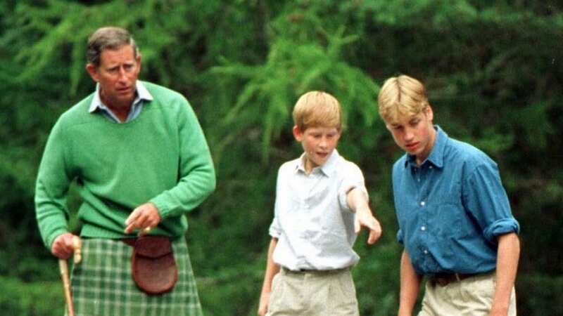 Harry and William pose with Charles in Father