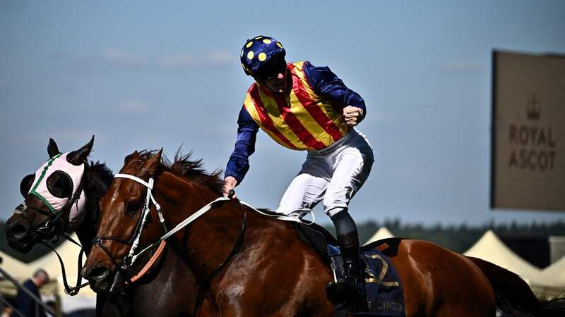 Nature Strip triumphed at Royal Ascot in 2022 (Image: BEN STANSALL/AFP via Getty Images)