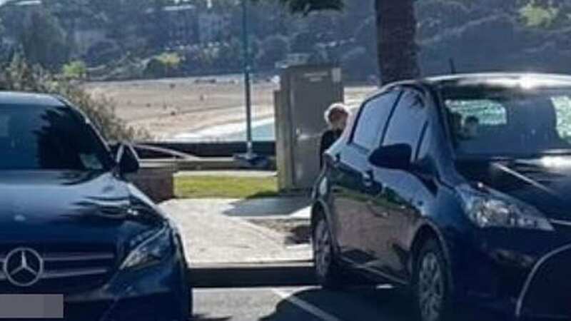 The driver was parked across two spaces (Image: Facebook)