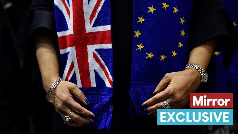 It will be seven years on Friday since the UK voted to leave the EU (Image: AFP via Getty Images)