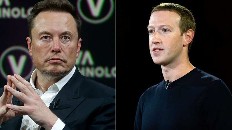 Elon Musk and Mark Zuckerberg agree to CAGE FIGHT in Twitter exchange