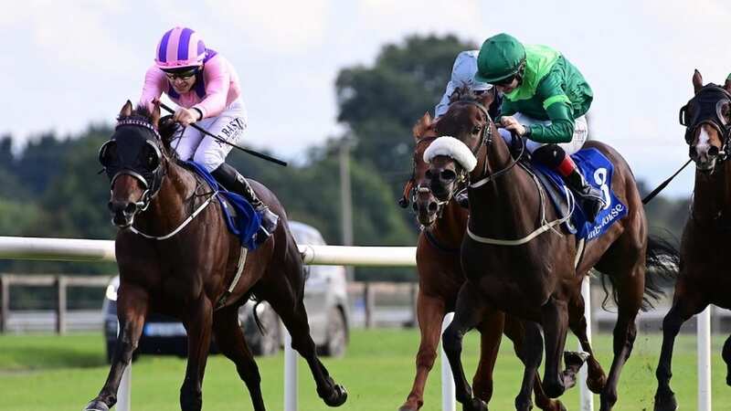 Thunderbear (left) will contest the Jersey Stakes