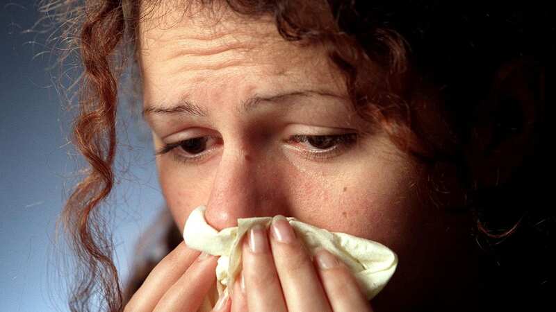 One in four hay fever sufferers have been accused of ‘making it up’ by those who don’t experience symptoms (Image: SWNS.com)