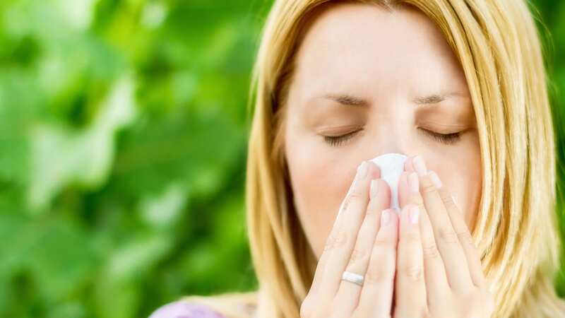Hay fever season in Britain now lasts from March until October (Image: Getty Images)