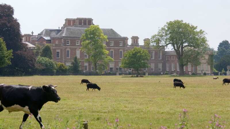 The North facade of Wimpole Hall, National Trust Stately Home, Cambridgeshire (Image: Getty Images/iStockphoto)