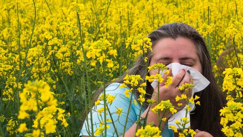 The neighbour has planted oilseed rape, which has triggered her hay fever (stock image) (Image: Getty Images)