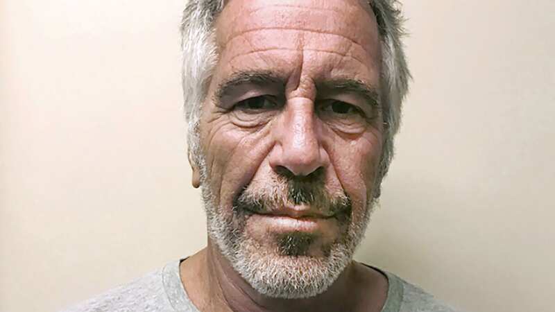 Jeffrey Epstein was a convicted sex offender and a wealthy financier (Image: Uncredited/AP/REX/Shutterstock)
