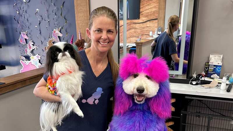 Zoe the dyed pooch with owner Angela Schoonover (Image: Angela Schoonover / SWNS)