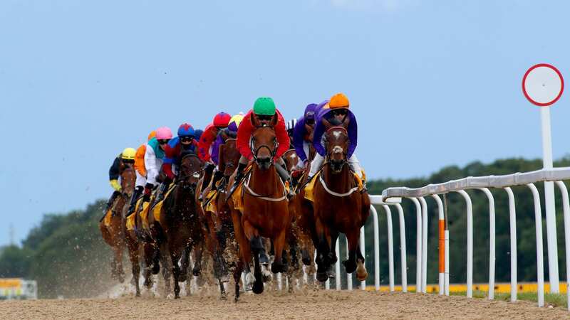 The Northumberland Plate is run at Newcastle Racecourse (Image: Getty)
