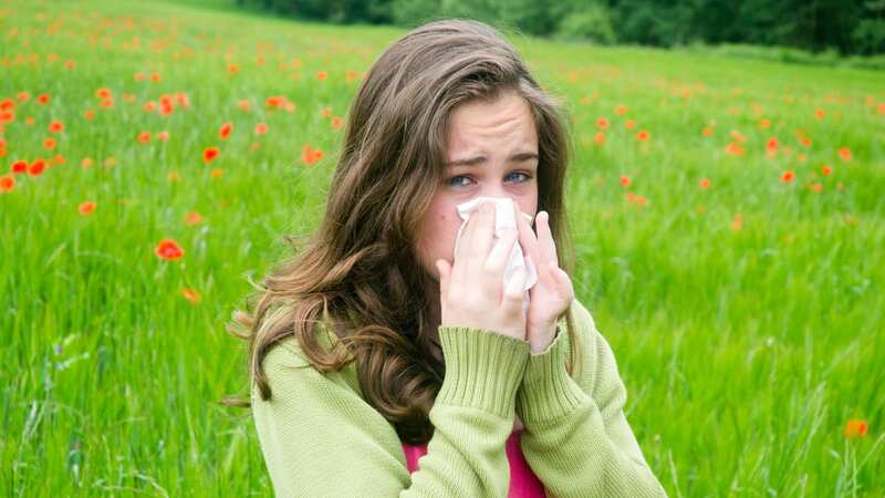 Summer often comes with debilitating symptoms for hayfever sufferers (Image: Getty Images)