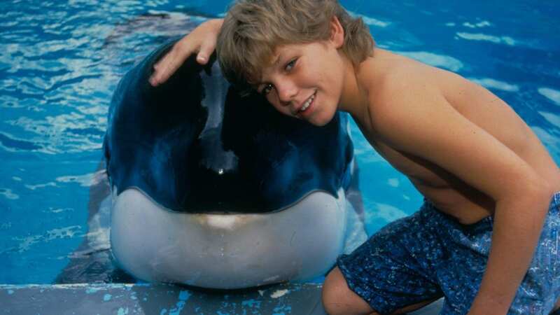 Free Willy is approaching its 30th anniversary