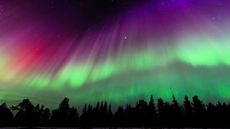 Trips to see the Northern Lights start from just £500 per person (Image: Getty)