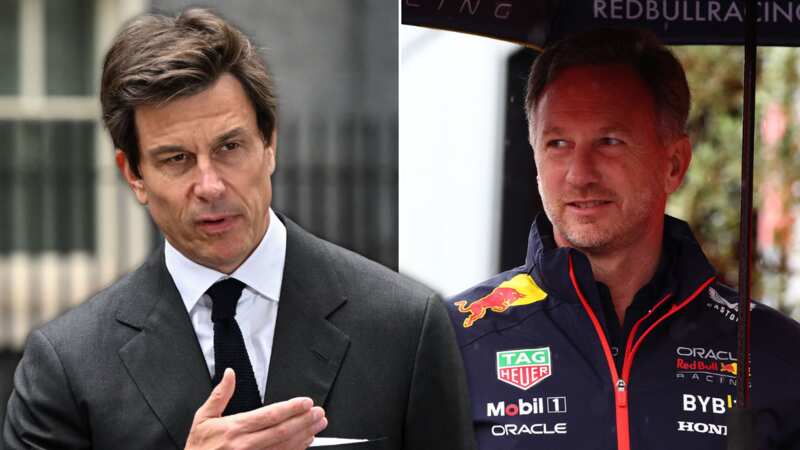 Christian Horner raised concerns about F1