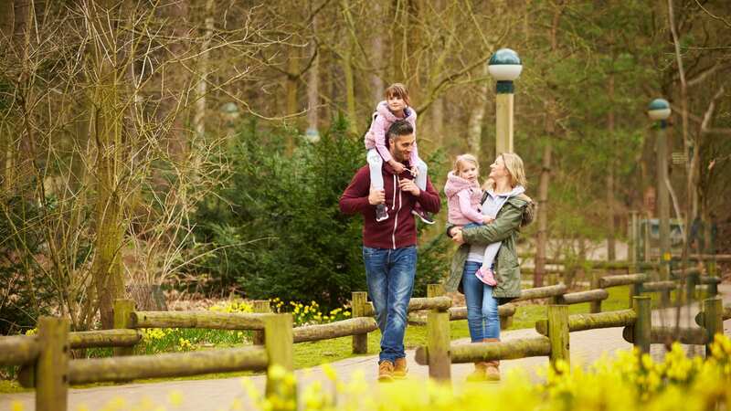 Brits could save hundreds at Center Parcs by going to European locations instead