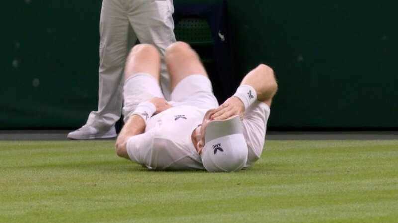 Wimbledon curfew denies Andy Murray comeback as injury has him screaming in pain