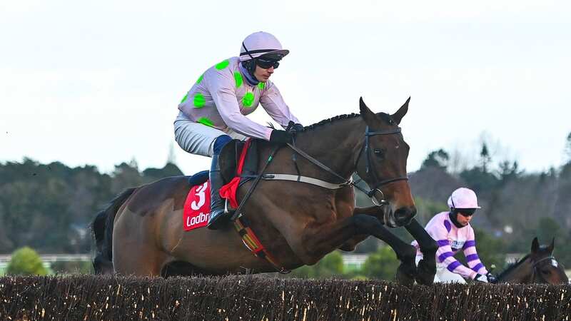 Chacun Pour Soi: the Willie Mullins star has been found a new job (Image: Seb Daly/Sportsfile via Getty Images)