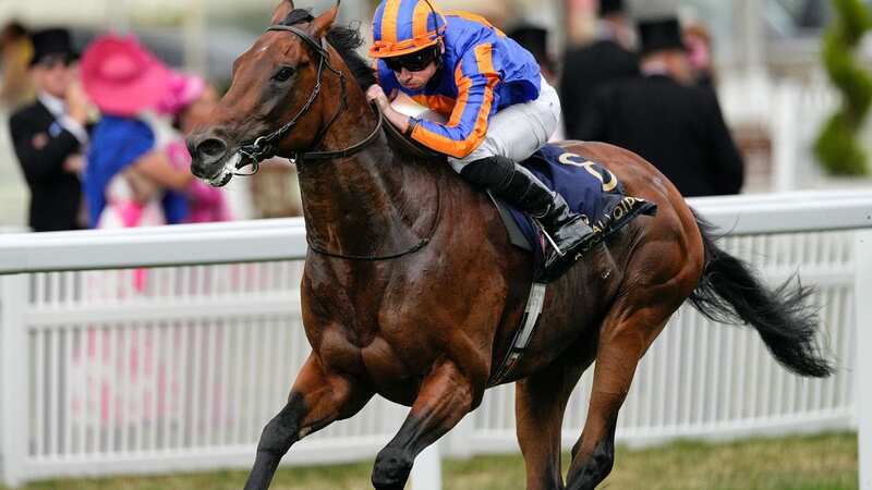 Paddington won the Coral-Eclipse Stakes (Image: Dave Shopland/REX/Shutterstock)