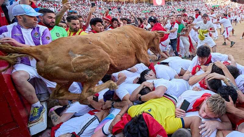 People take part in the traditional bull run of the San Fermin Festival in Pamplona (Image: Ruben Albarran/ZUMA Press Wire/REX/Shutterstock)