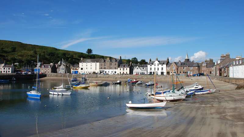 The picturesque harbour town has been blighted by avian flu (Image: Getty Images/iStockphoto)