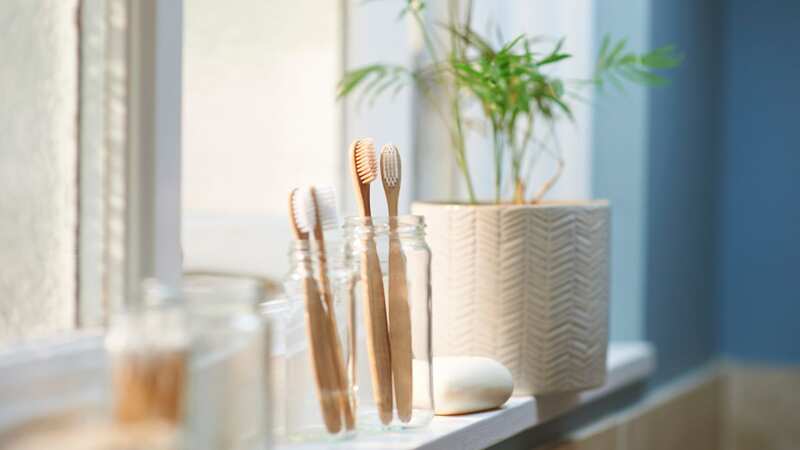 You should clean your toothbrush holder once a week (stock photo) (Image: Getty Images)