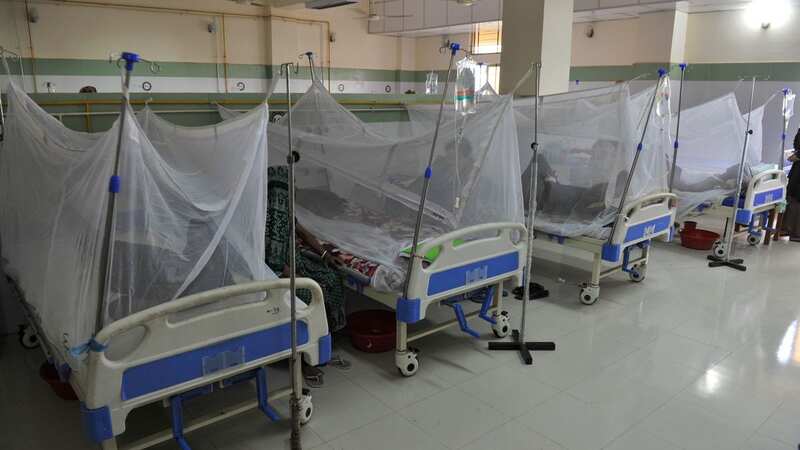 Dengue fever can cause serious illness in some cases (Image: Md Rafayat Haque Khan/ZUMA Press Wire/REX/Shutterstock)